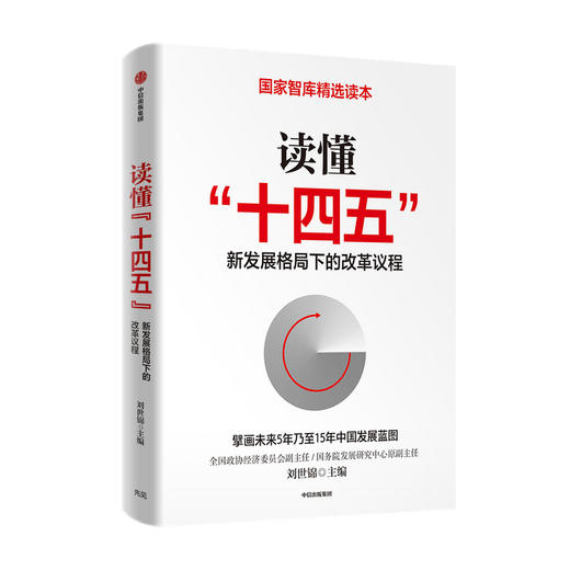 读懂十四五 刘世锦 新发展格局下的改革议程 双循环 国内大循环 深入解读十四五 国家智库精选读本  中信出版社 商品图1