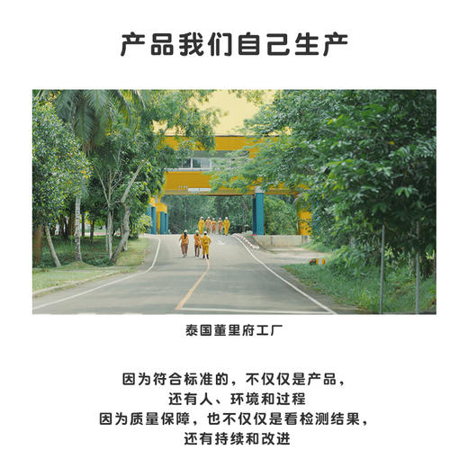 1岁+ | 泰国Plantoys推推乐木质婴儿童推杆学步单杆手推车玩具  12M+ 商品图4