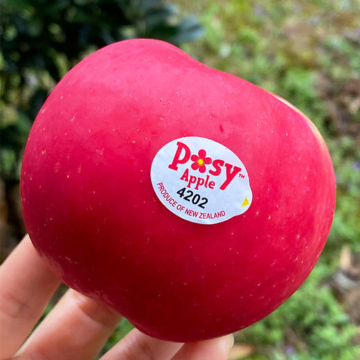新西兰Posy小花苹果迷你果  |  我是一朵小花，来自纯净原野的清新小花，天然有机生长，红扑扑的自然果色，味道清新纯真，大自然馈赠的淳朴清香！ 商品图8