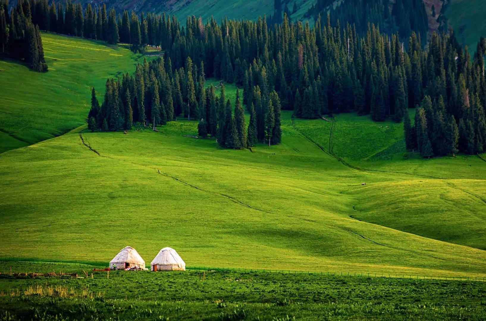 这个暑假带孩子去草原、湖泊边、雪山下、花海里奔跑……