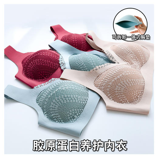【滋养胸部 呵护肌肤】胶原蛋白养护内衣2.0 收副乳美背 无痕文胸 商品图11