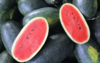 云南黑美人薄皮西瓜 商品缩略图1