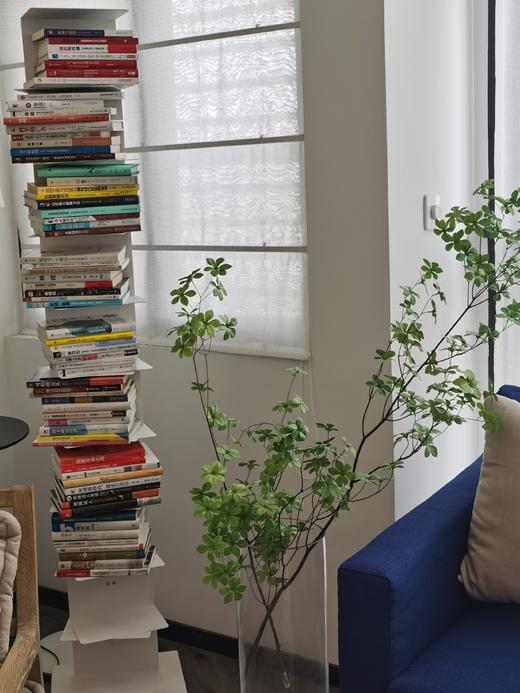 【超好看的北欧隐形书架】 个性小书柜 不锈钢 烤漆落地客厅转角创意悬浮收纳置物架 商品图1