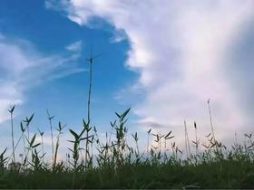 户外@【广州最美登山线】行走天地线，问鼎老虎头之巅1天