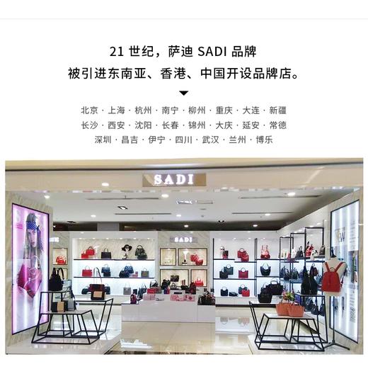 【品牌授权 全国联保】SADI/萨迪新款2020潮亮片小方包质感手提斜挎包女SD3668-18-1 商品图13