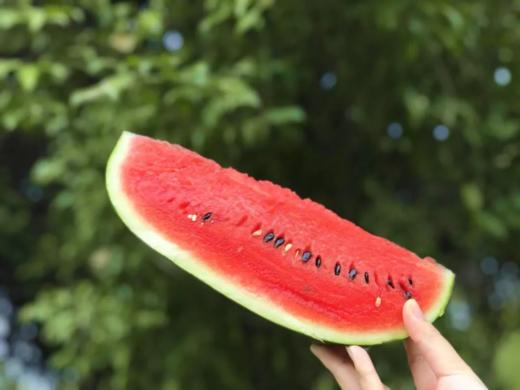 云南黑美人薄皮西瓜 商品图2