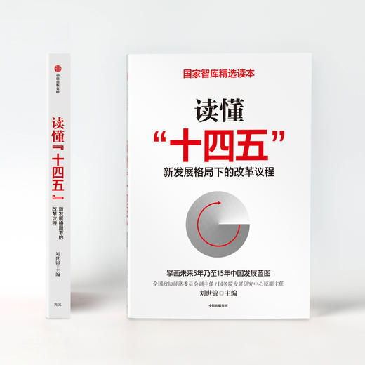 读懂十四五 刘世锦 新发展格局下的改革议程 双循环 国内大循环 深入解读十四五 国家智库精选读本  中信出版社 商品图2