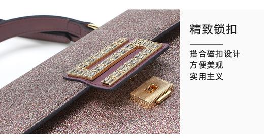 【品牌授权 全国联保】SADI/萨迪新款2020潮亮片小方包质感手提斜挎包女SD3668-18-1 商品图10