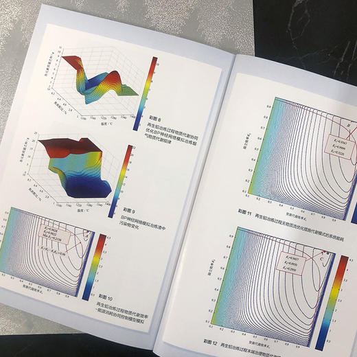 再生铅冶炼过程物质代谢及协同控制 商品图4