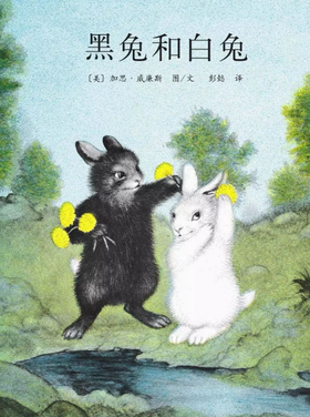 黑兔和白兔