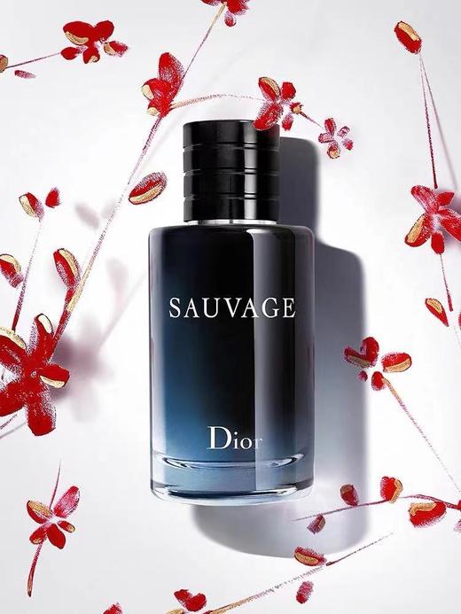  迪奥旷野男士浓香水60ml#100ml 商品图2