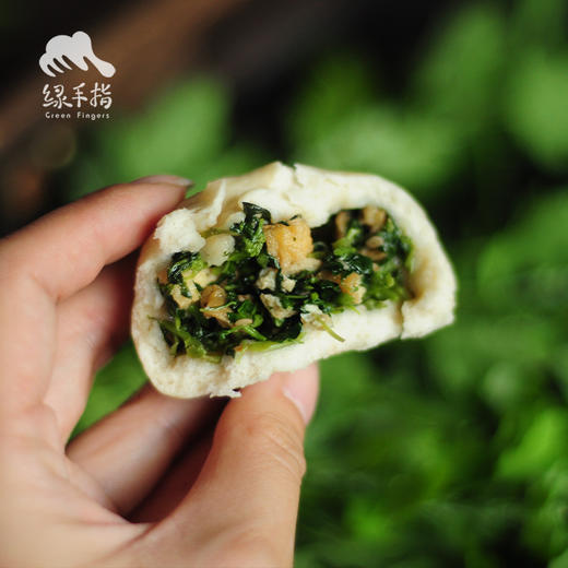 方野·野菜纯素包 | 绿家自产 *FarmYeah Wild vegetable steamed stuffed bun | Self-production 商品图1