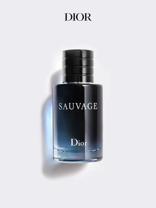  迪奥旷野男士浓香水60ml#100ml 商品图1