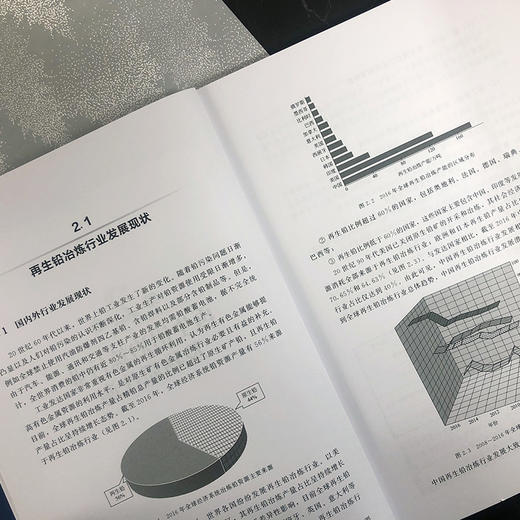 再生铅冶炼过程物质代谢及协同控制 商品图3