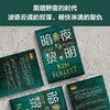 暗夜与黎明（全2册）（世界读者平均2个通宵读完！《巨人的陨落》作者、英国国宝作家肯·福莱特新作） 商品缩略图5