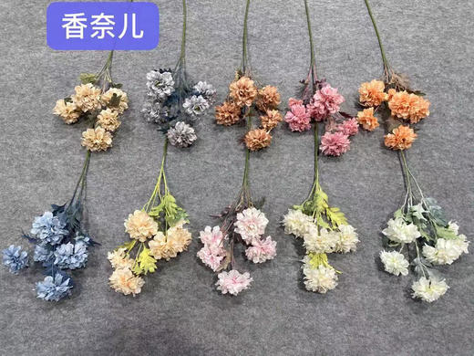 香奈儿【运费自理】 商品图0