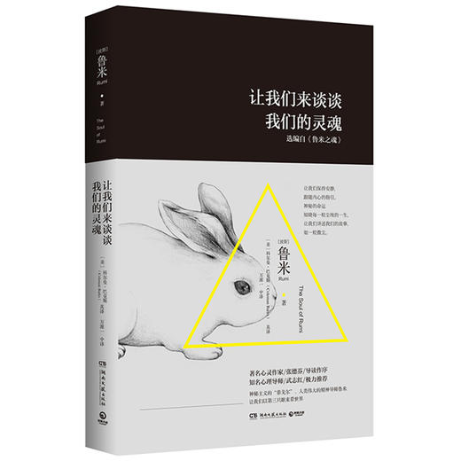 让我们来谈谈我们的灵魂 商品图0