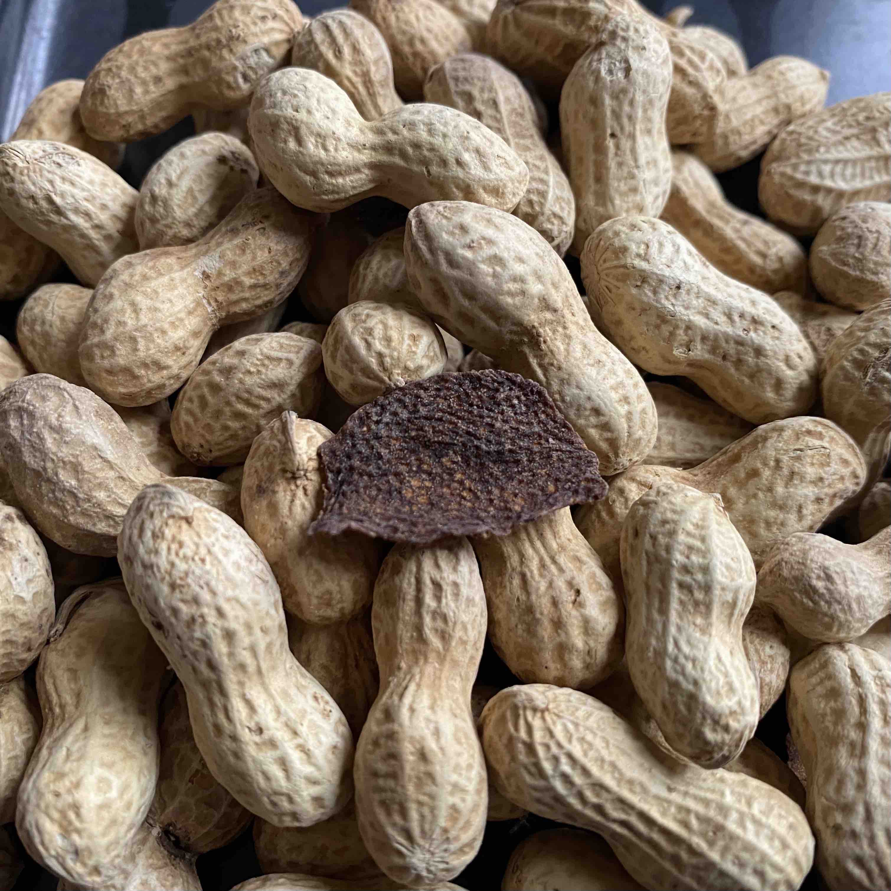 新会十年陈皮花生400克/罐   包邮秒发