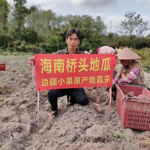 日本高系14号原种！桥头板粟地瓜 5斤红薯装 商品图2