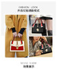 【品牌授权 全国联保】SADI/萨迪女士个性撞色通勤风小方包SD6022 商品缩略图6