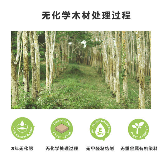 1岁+ | 泰国Plantoys推推乐木质婴儿童推杆学步单杆手推车玩具  12M+ 商品图3