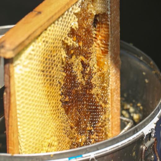 【天然蜂蜜】300g/玻璃罐 (野山花蜜/产自黄山深山/无添加） 商品图7