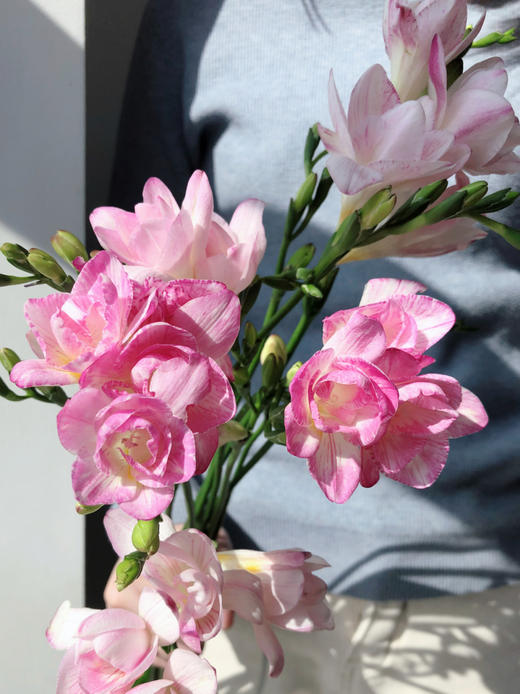 小苍兰【愿许一人以偏爱，尽此生之慷慨】简小姐精选 祖玛珑同款香气  纯洁无邪 小苍兰/香雪兰1束 下单48小时发货 商品图4