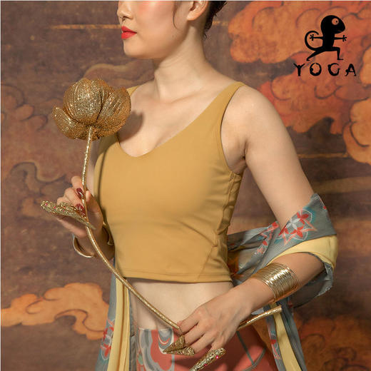 【现货秒发】壁虎瑜伽2021【至简】V领极简运动Bra（有胸垫） 商品图0