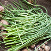 蒜薹 商品缩略图1
