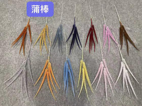 蒲棒【运费自理】