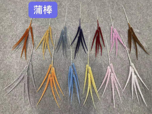 蒲棒【运费自理】 商品图0