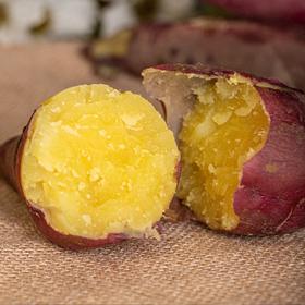 日本高系14号原种！富硒桥头板栗地瓜 红薯 精品5斤 礼盒装