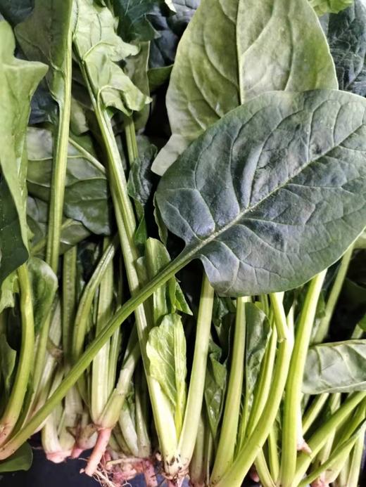 记得回家吃饭 ｜生态蔬菜包 ｜蔬菜配送 ｜不要忘了包装哦 商品图7