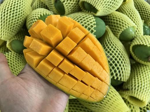 越南大青芒（云南） 商品图3