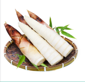 临安鲜笋高山现挖雷笋不发隔夜笋5斤顺丰包邮