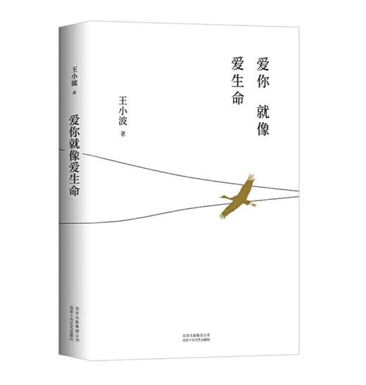 爱你就像爱生命（五线谱情书珍藏版） 商品图2