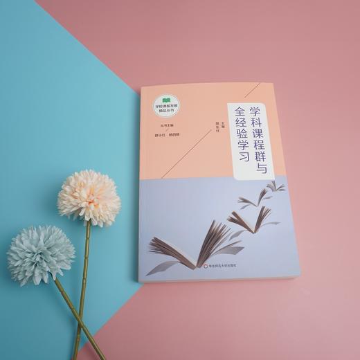 学科课程群与全经验学习 学校课程发展精品丛书 适合教师阅读 正版 华东师范大学出版社 商品图1