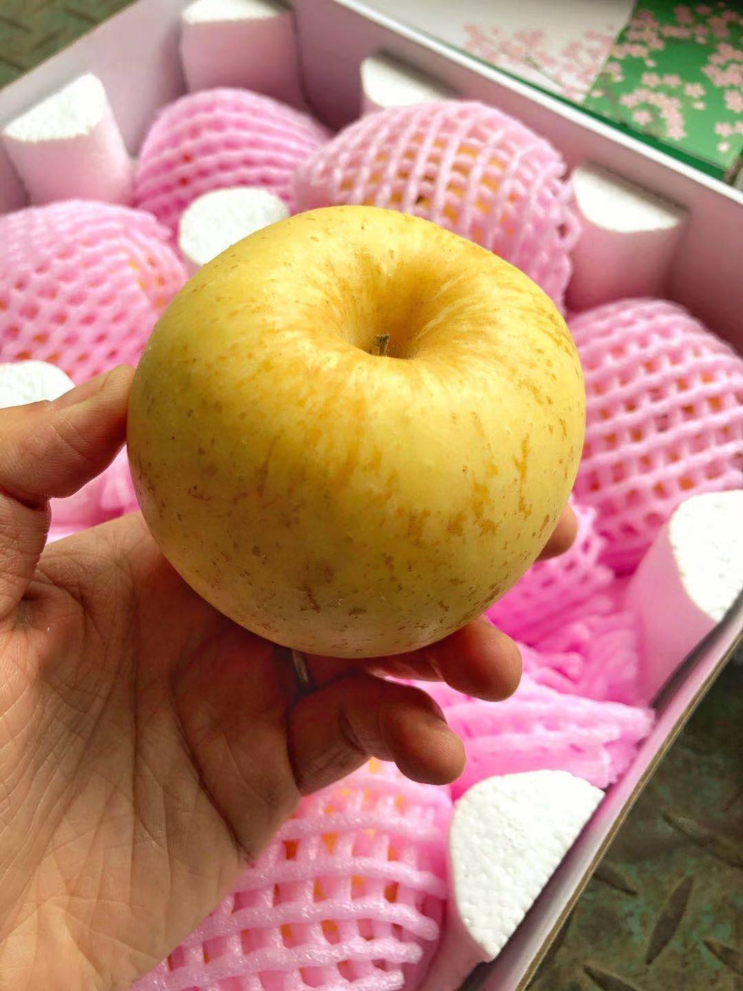 冬恋苹果有一股浓郁的果香肉质紧脆甜而不腻9个装箱江浙沪包邮