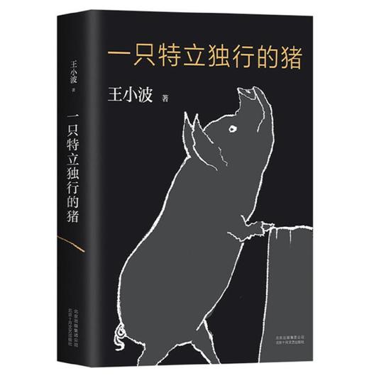 一只特立独行的猪 商品图1