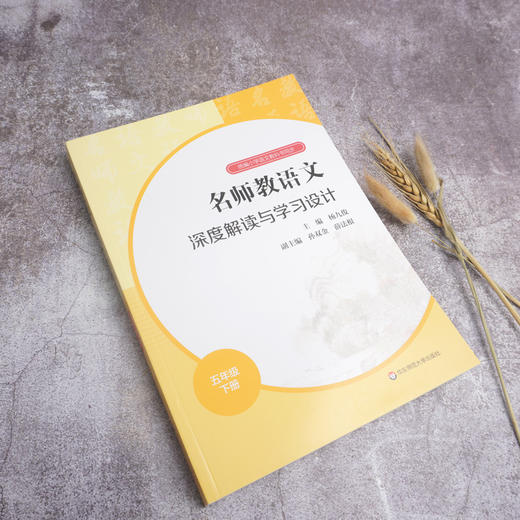 23春名师教语文 深度解读与学习设计 1-6年级下册 杨九俊主编 商品图7