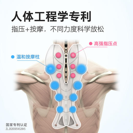 【深度放松颈椎腰背】TOTONUT小龙虾颈椎按摩器 商品图3