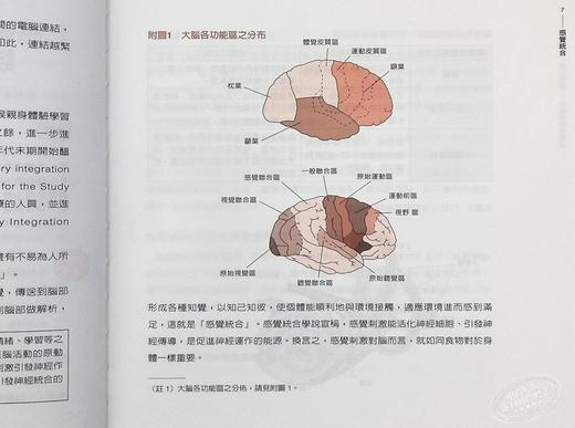 【中商原版】感觉统合：修练脑部 台版原版 高丽芷 信誼基金出版社 商品图5