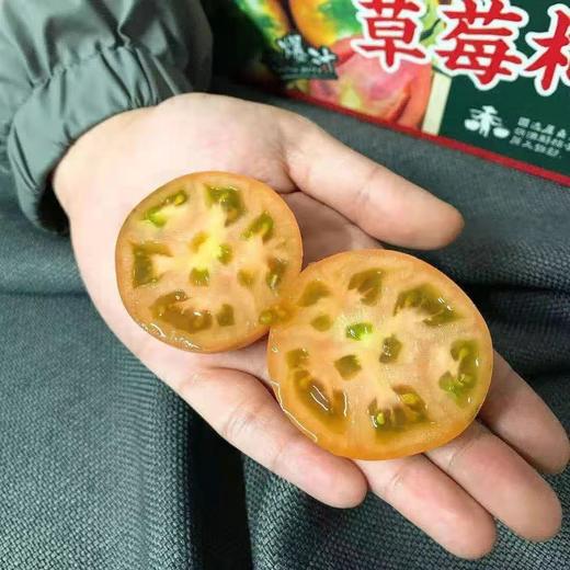 【大连有机铁皮柿子】约4.5斤，绿色种植，营养丰富 商品图1