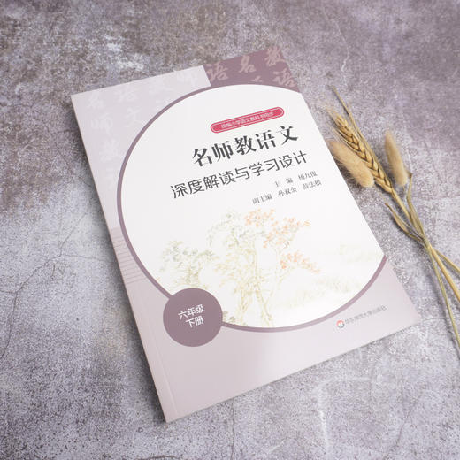 23春名师教语文 深度解读与学习设计 1-6年级下册 杨九俊主编 商品图6