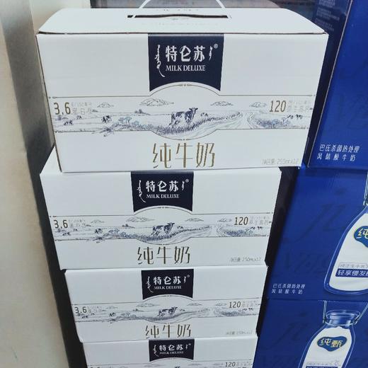 特仑苏纯牛奶 商品图0