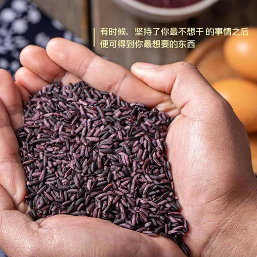 云南墨江紫米  （1斤*2袋普通装/1斤*5袋礼盒装) 商品图3