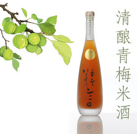 糯言清酿·青梅米酒500ml