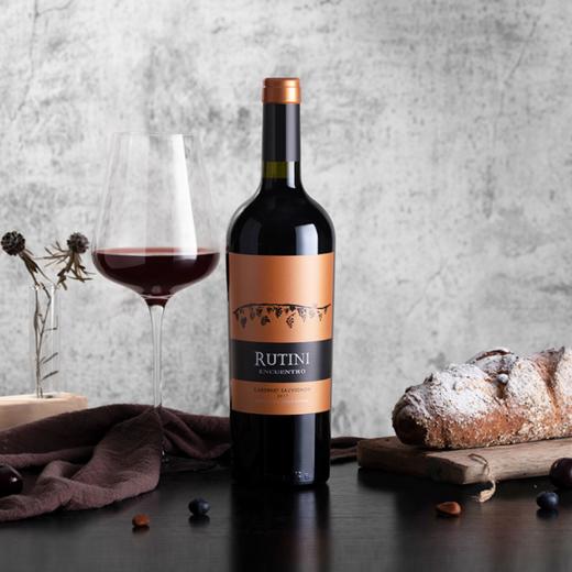 阿根廷  瑞帝利知遇赤霞珠干葡萄酒 750ML 商品图4