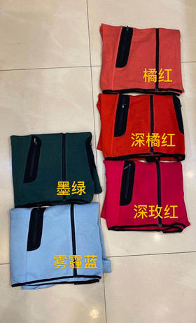 飞向春天的鸟儿  上了新颜色