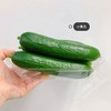 清脆爽口小黄瓜 1根 商品缩略图3